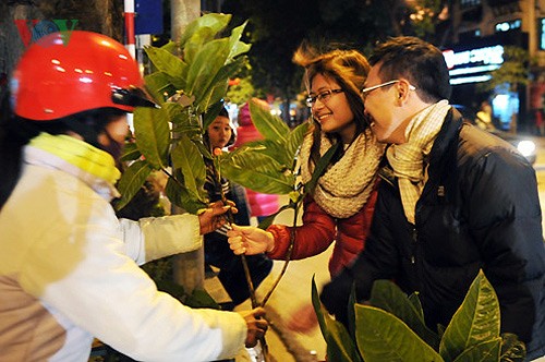 Nation welcomes Year of the Dragon - ảnh 1